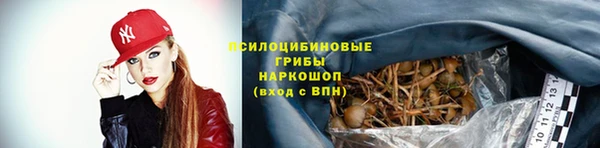 экстази Богданович