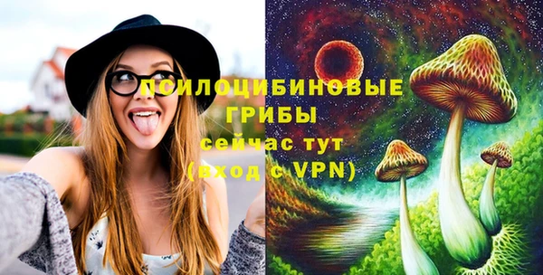 экстази Богданович